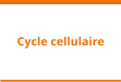 Cycle cellulaire